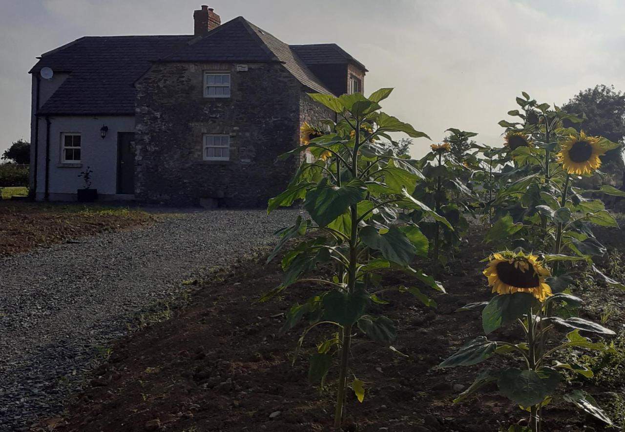 The Shepherd'S Lodge Tullyallen Bagian luar foto